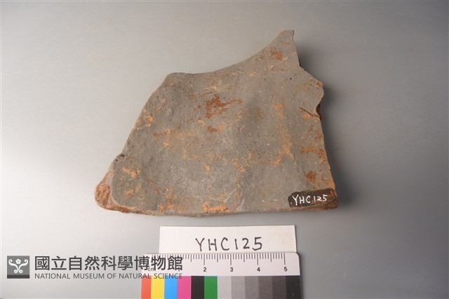 陶片藏品圖，第1張