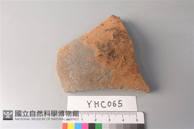 陶片藏品圖，第1張