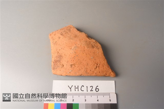 陶片藏品圖，第1張