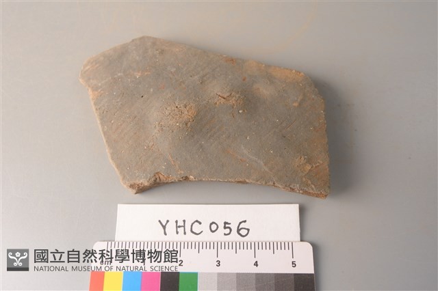陶片藏品圖，第1張