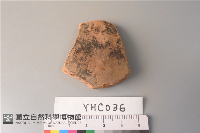 陶片藏品圖，第1張