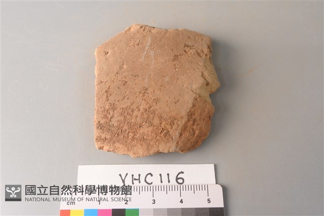 陶片藏品圖，第1張