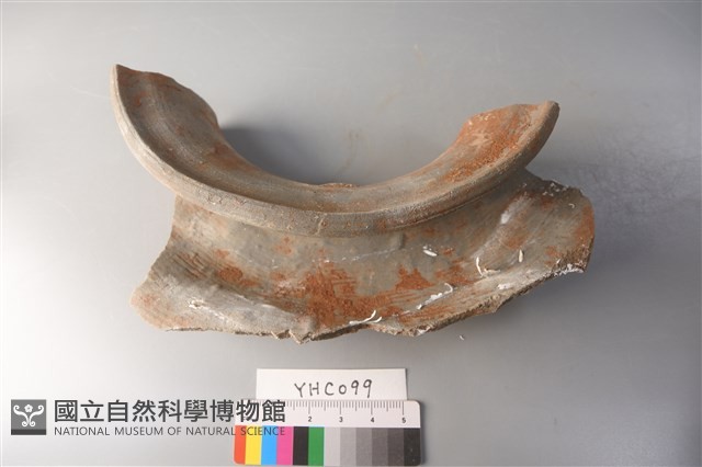 陶片藏品圖，第1張