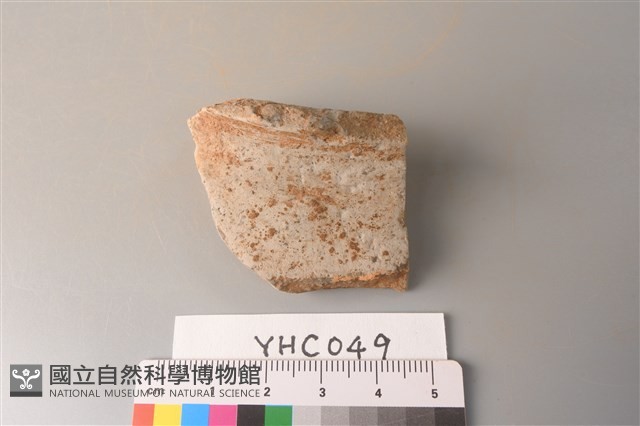 陶片藏品圖，第1張