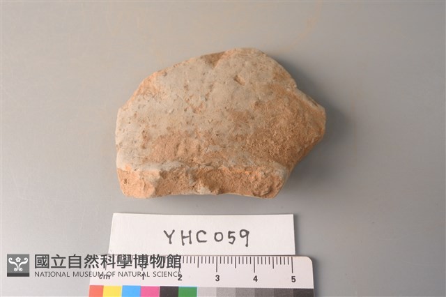 陶片藏品圖，第1張