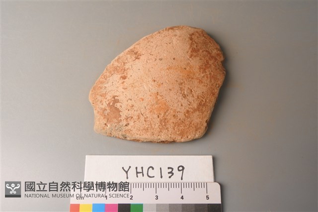 陶片藏品圖，第1張