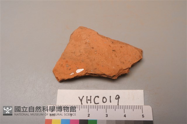 陶片藏品圖，第1張