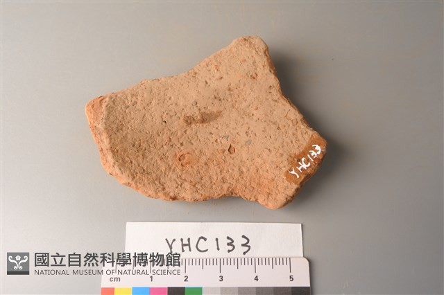 陶片藏品圖，第3張