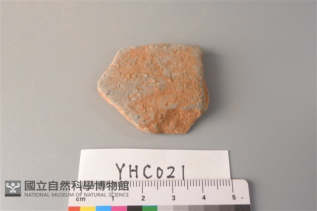 陶片藏品圖，第3張