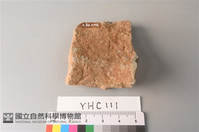 陶片藏品圖，第3張