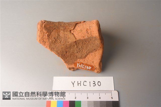 陶片藏品圖，第3張
