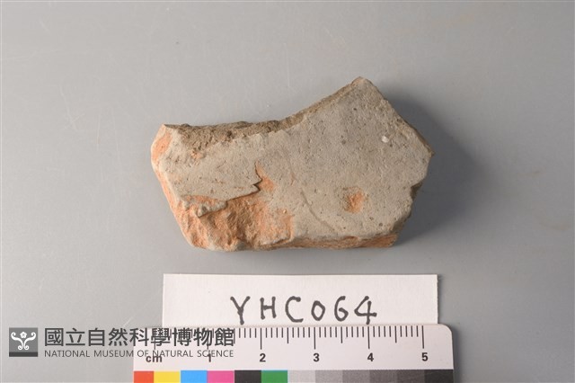 陶片藏品圖，第3張