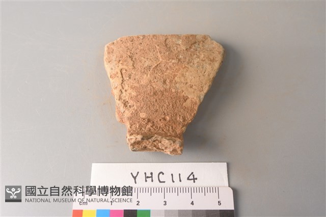 陶片藏品圖，第3張