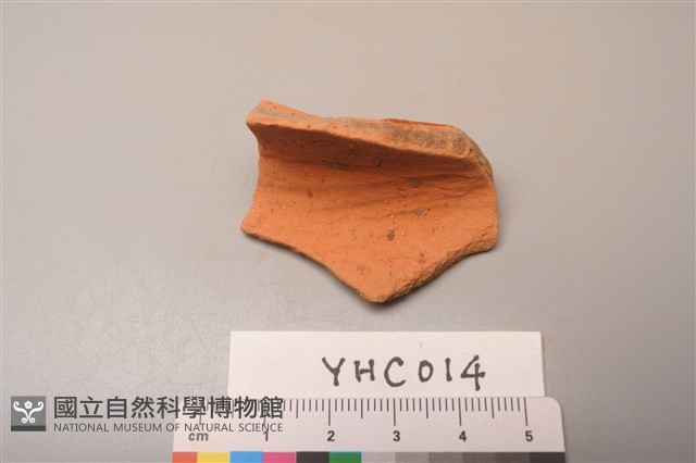 陶片藏品圖，第3張
