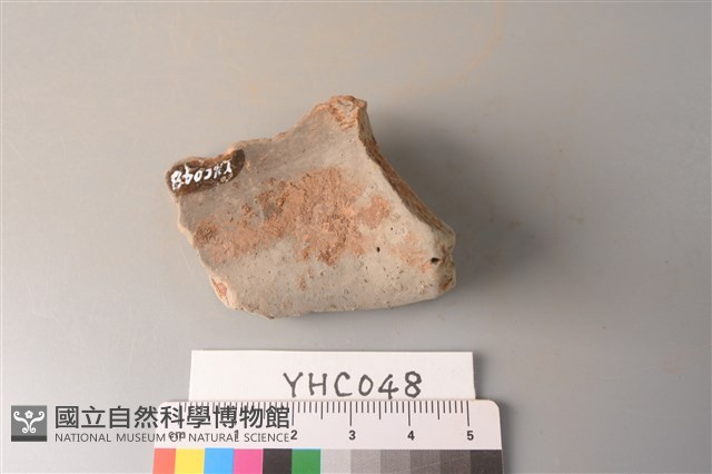 陶片藏品圖，第3張