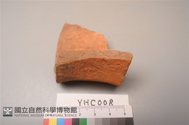 陶片藏品圖，第3張