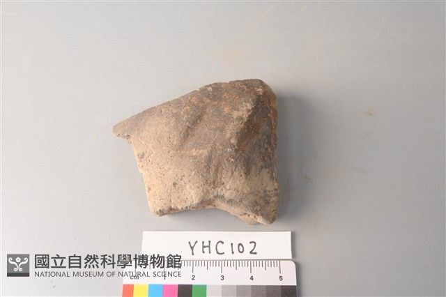 陶片藏品圖，第3張