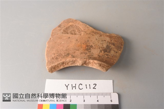 陶片藏品圖，第3張