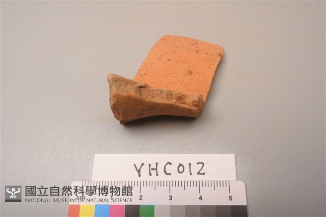陶片藏品圖，第3張