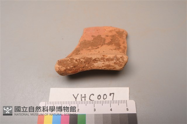 陶片藏品圖，第3張