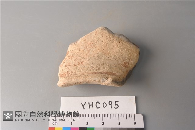 陶片藏品圖，第3張