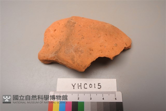 陶片藏品圖，第3張