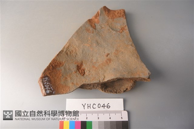 陶片藏品圖，第3張