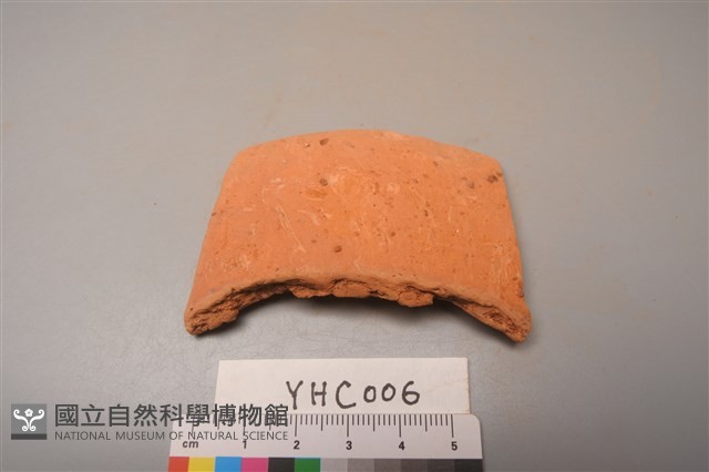 陶片藏品圖，第3張