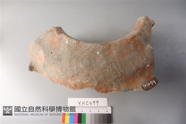 陶片藏品圖，第3張
