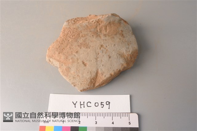 陶片藏品圖，第3張