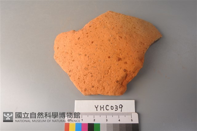 陶片藏品圖，第3張