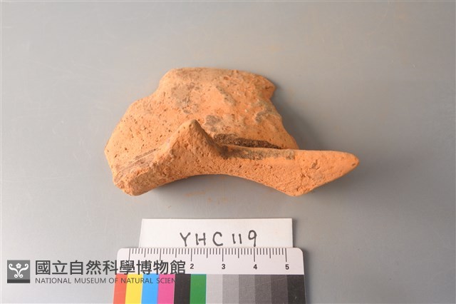 陶片藏品圖，第3張