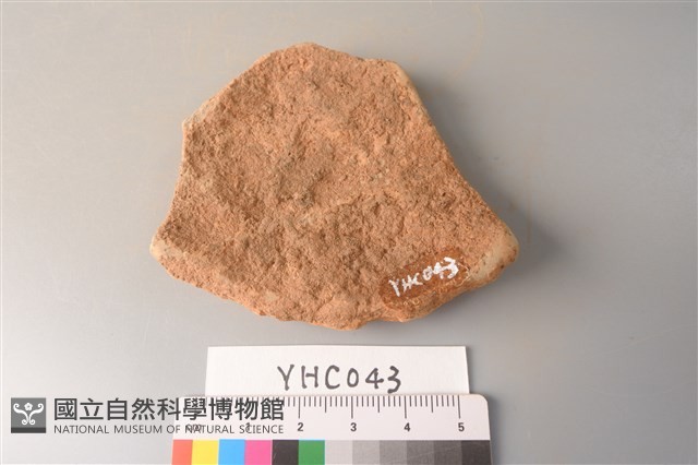 陶片藏品圖，第2張