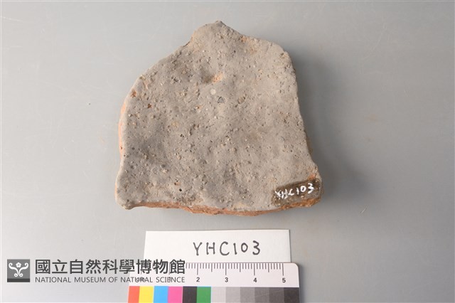 陶片藏品圖，第2張