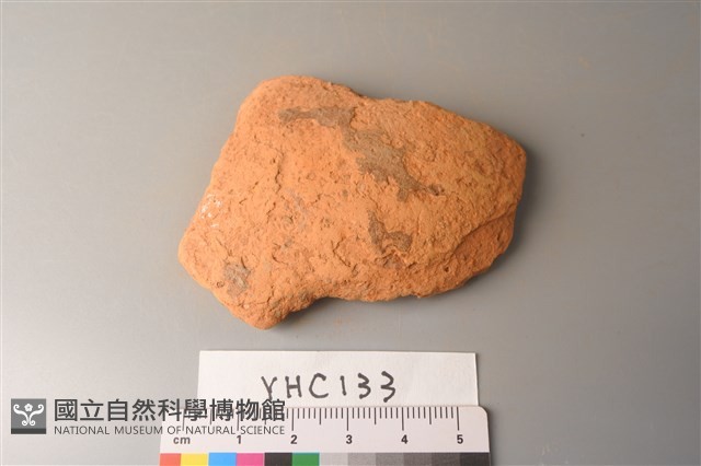 陶片藏品圖，第2張