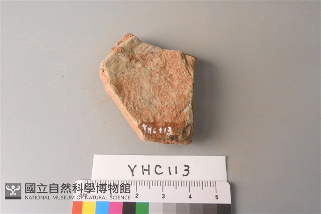 陶片藏品圖，第2張