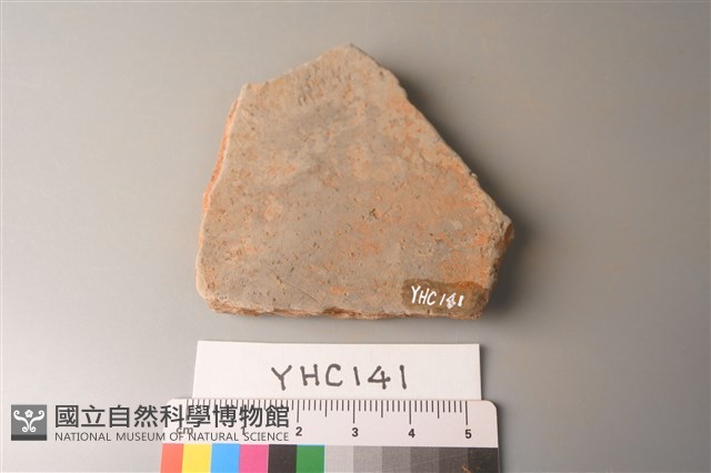 陶片藏品圖，第2張