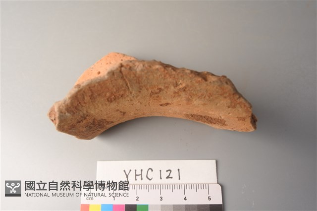 陶片藏品圖，第2張