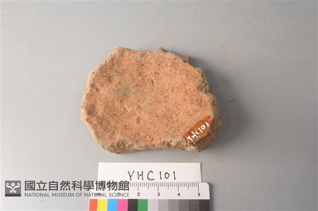 陶片藏品圖，第2張