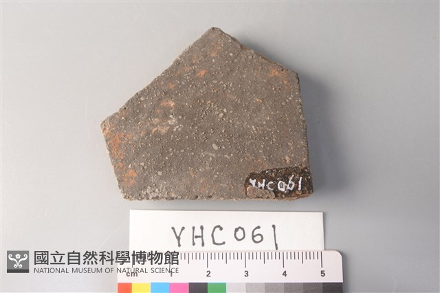 陶片藏品圖，第2張