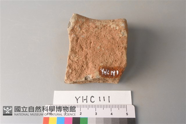 陶片藏品圖，第2張