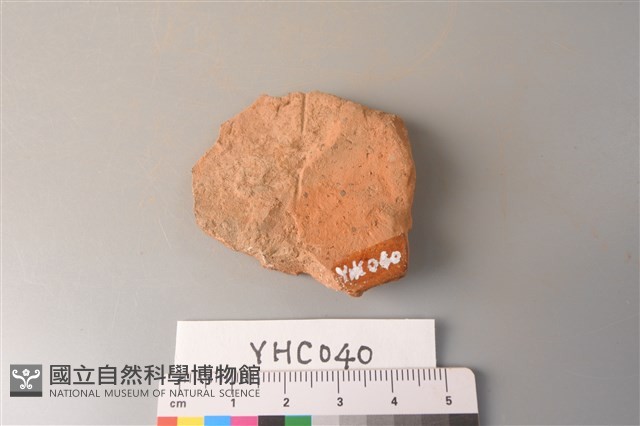 陶片藏品圖，第2張