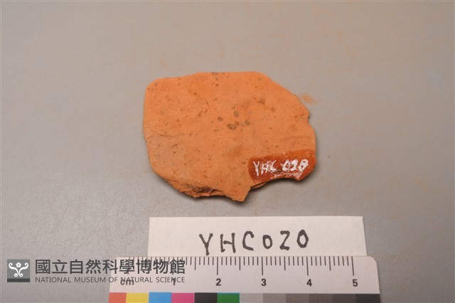 陶片藏品圖，第2張
