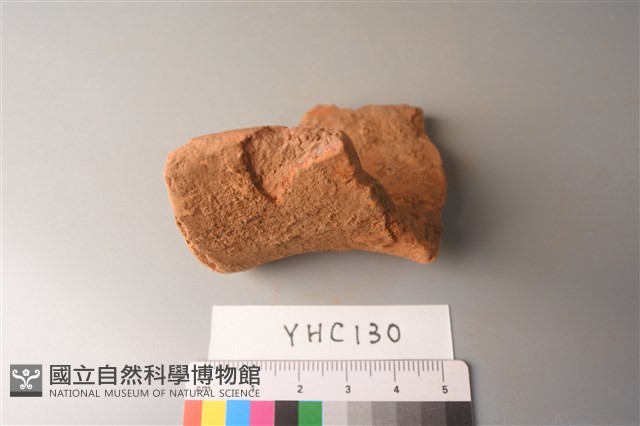 陶片藏品圖，第2張