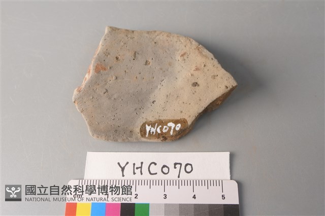 陶片藏品圖，第2張