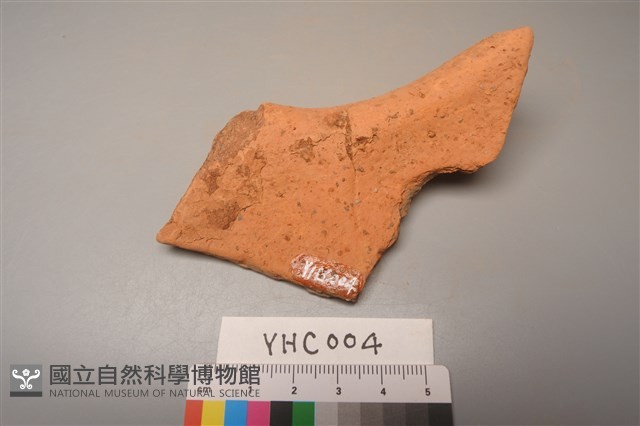 陶片藏品圖，第2張