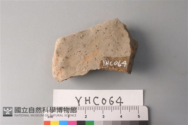 陶片藏品圖，第2張