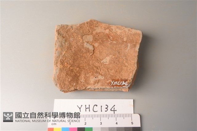 陶片藏品圖，第2張