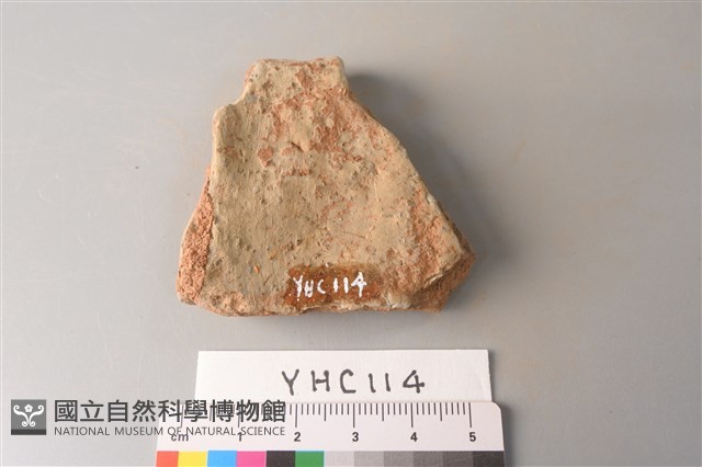 陶片藏品圖，第2張