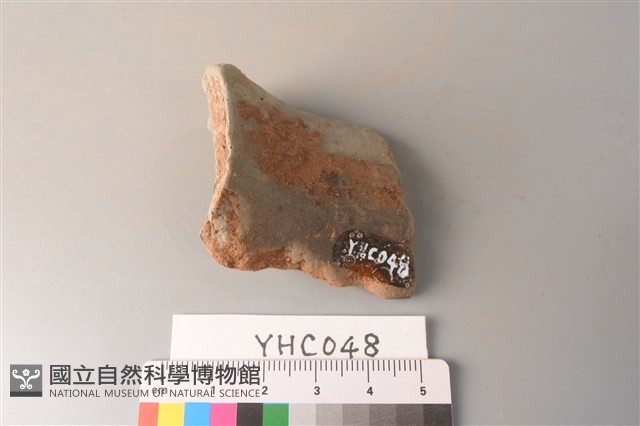 陶片藏品圖，第2張